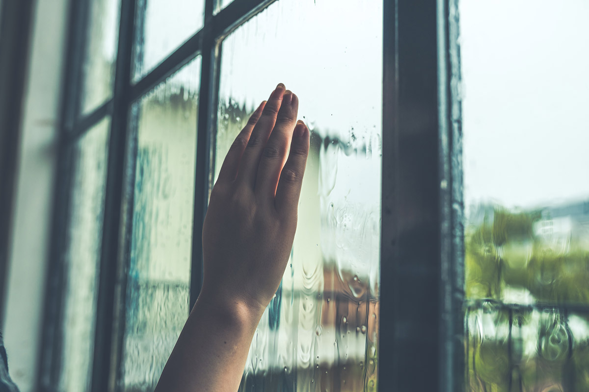 雨の日続きに逆戻り