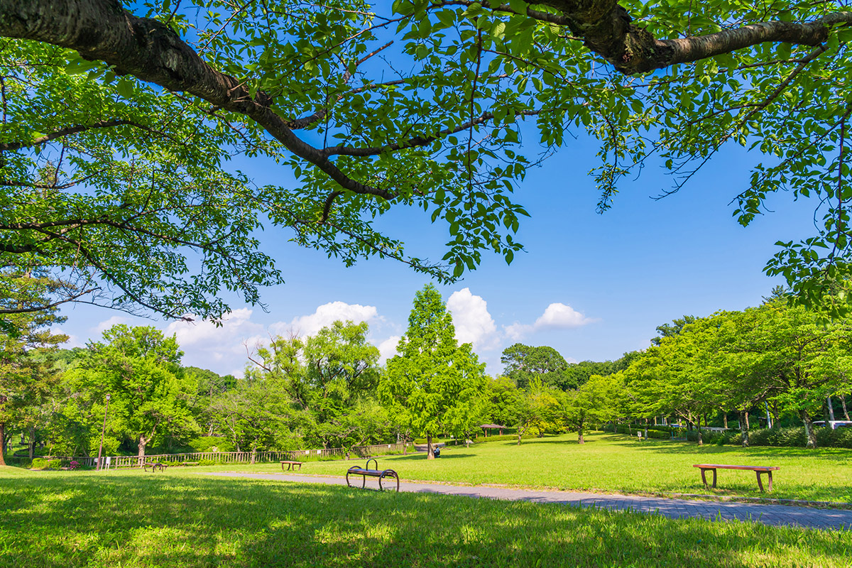 新緑の平和公園〈愛知県名古屋市〉