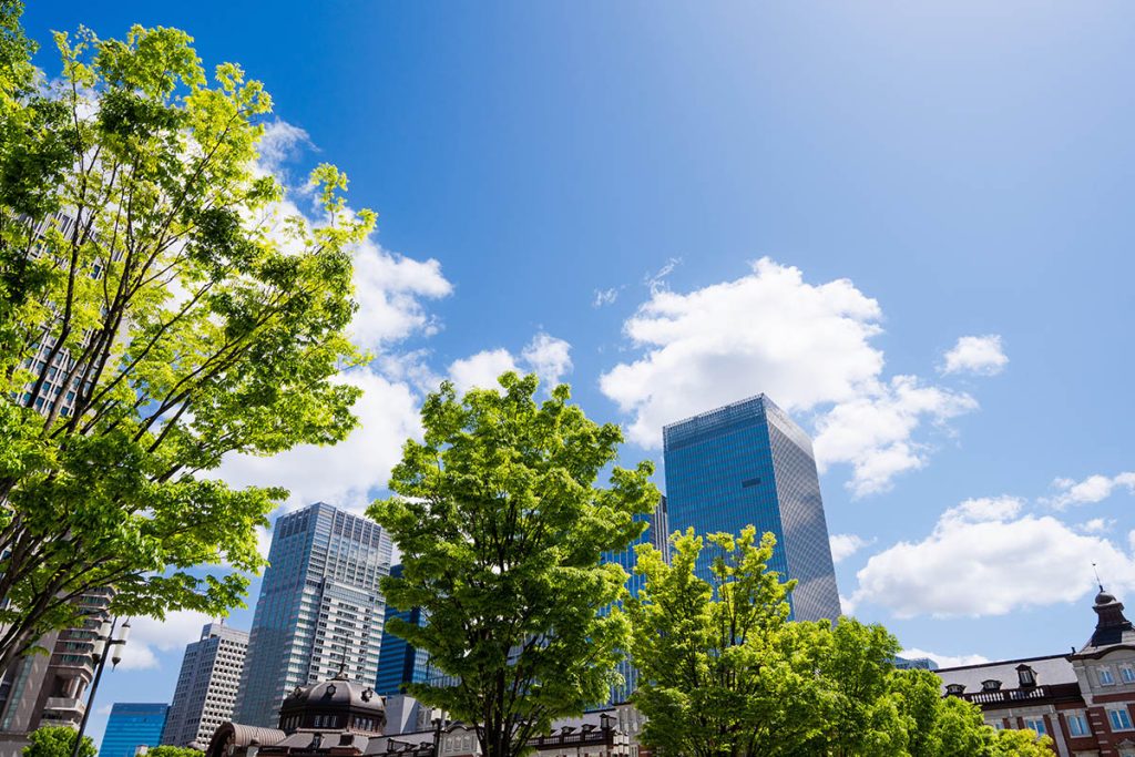 東京都 港区 麻布十番 ネクスト・アイズ|初夏を感じる 東京 ビル群 ビジネス街
